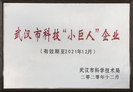 熱烈祝賀武漢仕全興榮獲2020年?yáng)|西湖區(qū)科技“小巨人”企業(yè)稱號(hào)