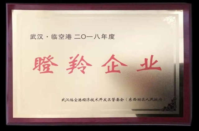 仕全興榮獲2018臨空港經(jīng)開區(qū)瞪羚企業(yè)