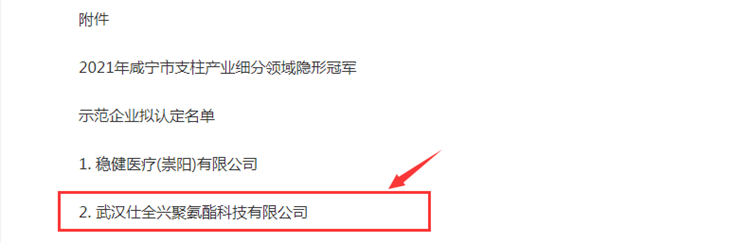 2021年咸寧市支柱產(chǎn)業(yè)細分領域隱形冠軍企業(yè)